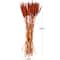 Dried Plant Bunny Tail Natural Foliage with Long Stems
